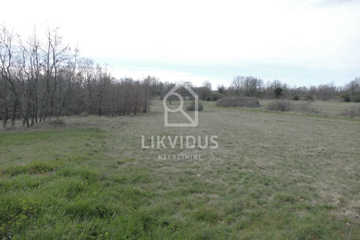 Terrain À vendre - Istarska Svetvinčenat - foto 4/20