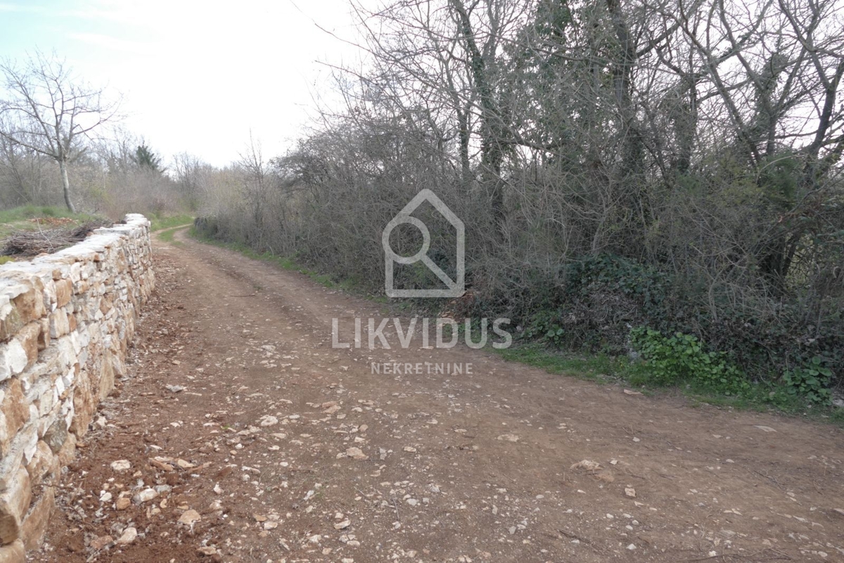 Terrain À vendre - Istarska Svetvinčenat - foto 5/20
