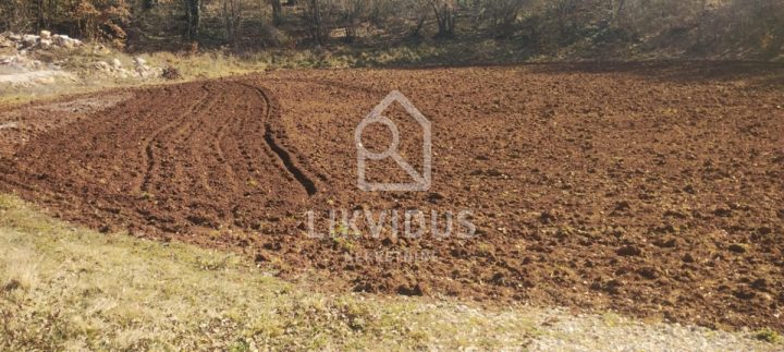Parcela Naprodaj - Istarska Svetvinčenat - foto 2/4