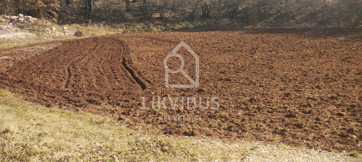 Terreno In vendita - Istarska Svetvinčenat - foto 2/4