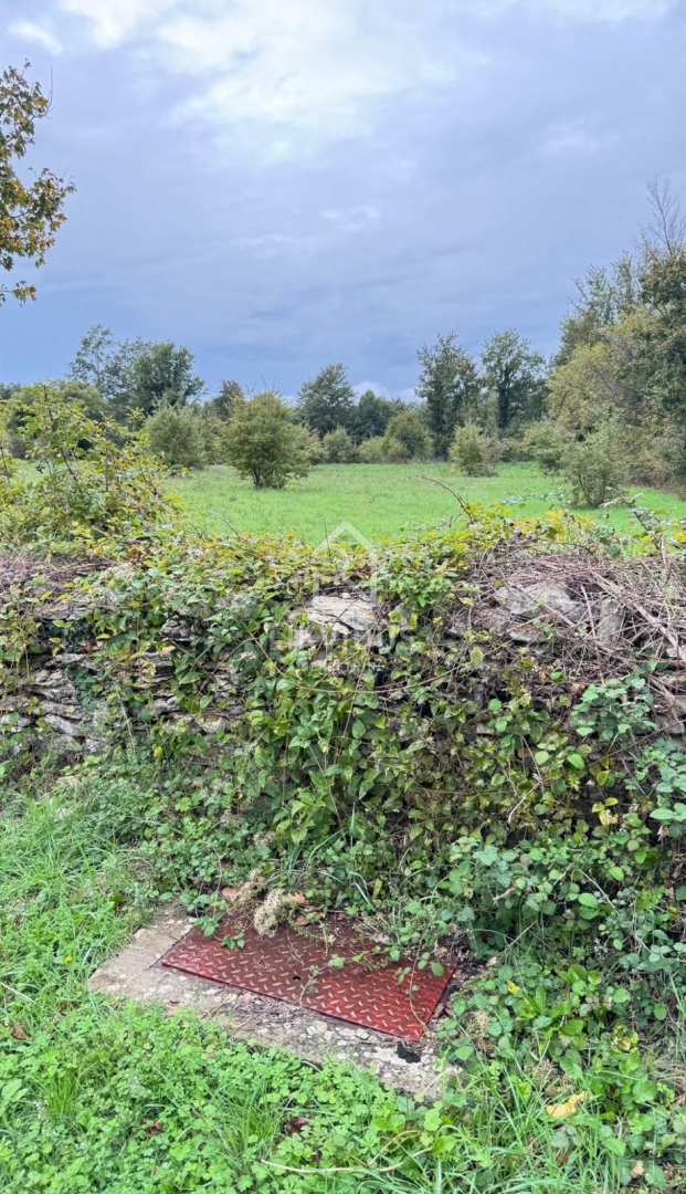 Terreno In vendita - Istarska Svetvinčenat - foto 2/5