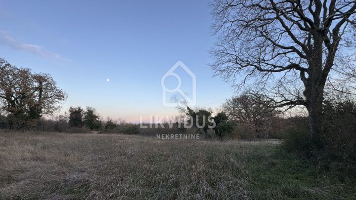 Pozemek na prodej 3000 m² – Barban