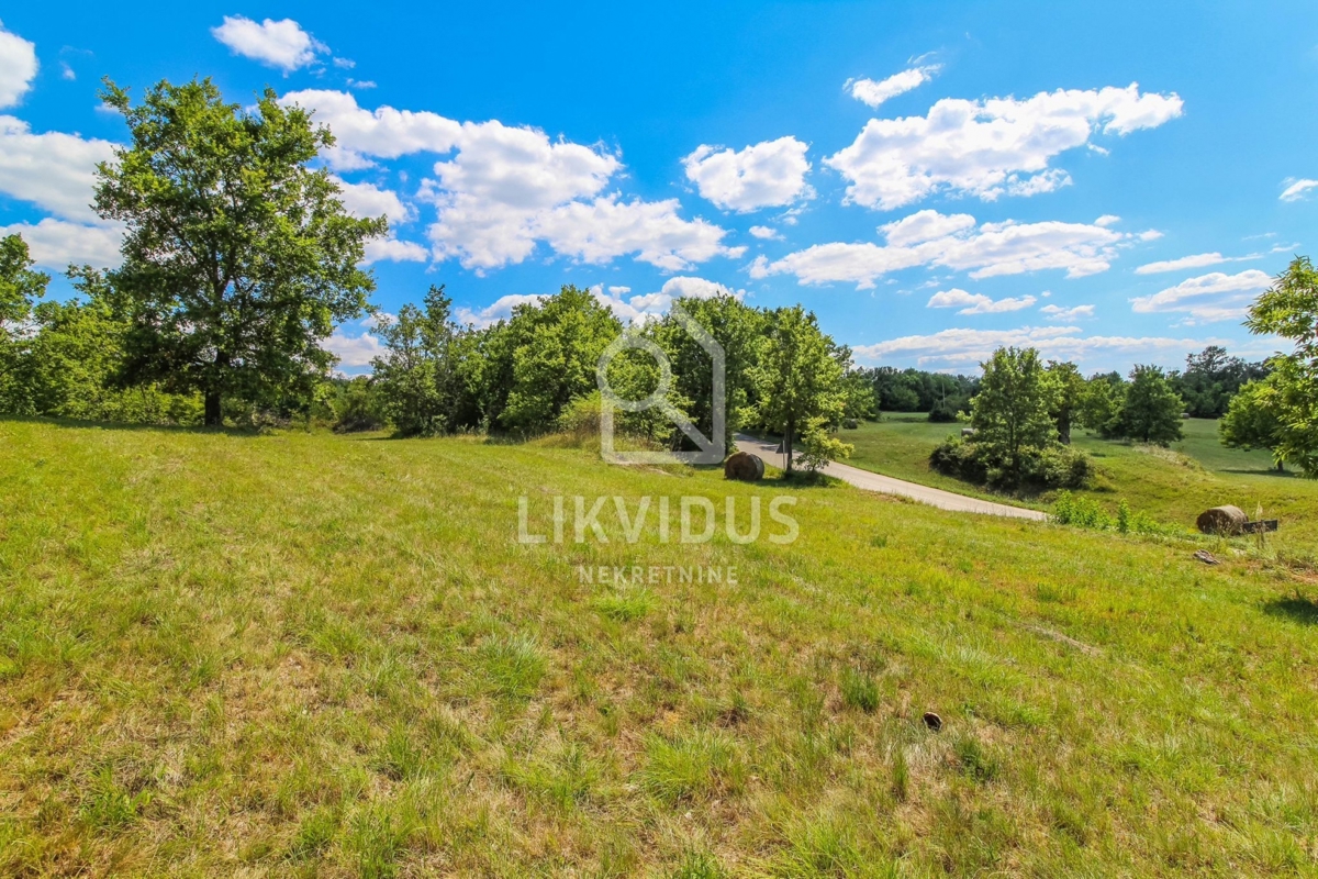 Land For sale - ISTARSKA GROŽNJAN