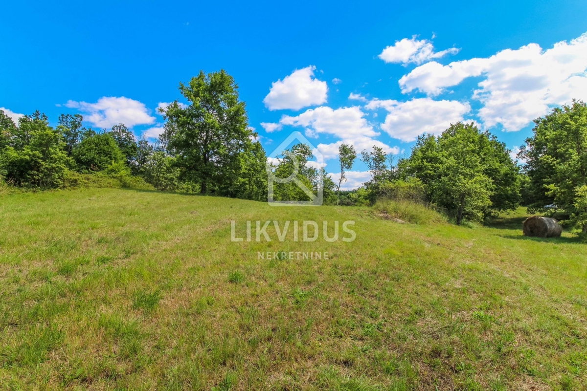 Land For sale - ISTARSKA GROŽNJAN