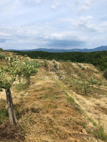 Pozemok Na predaj - Istarska Cerovlje - foto 5/8