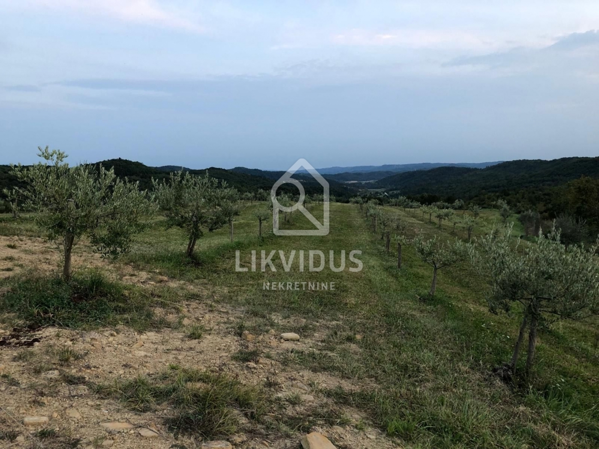 Land For sale CEROVLJE