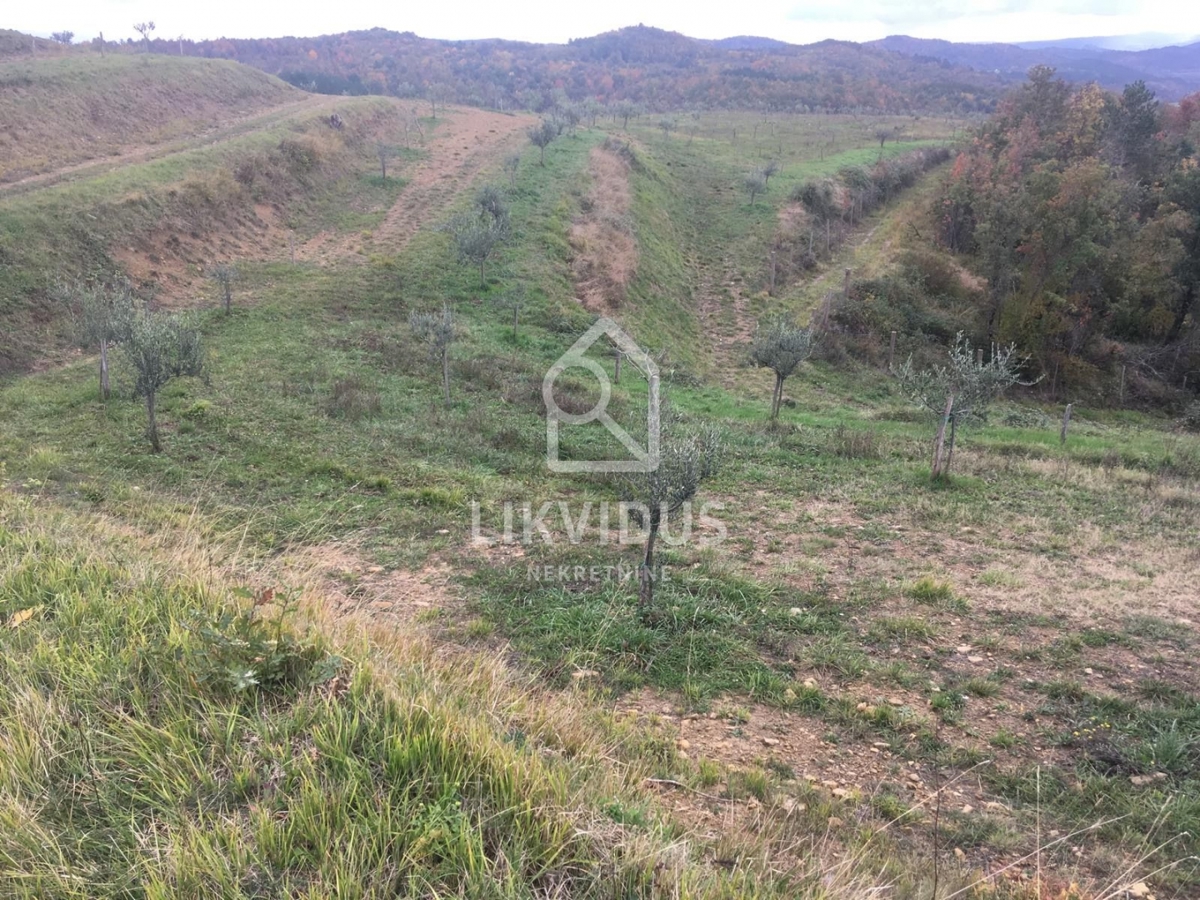 Land For sale - ISTARSKA CEROVLJE