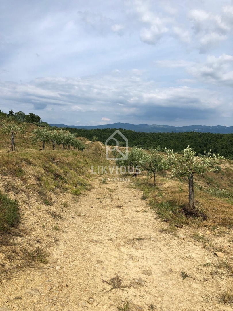 Land For sale - ISTARSKA CEROVLJE