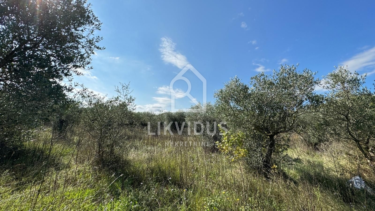 Terrain À vendre - Istarska Bale - foto 4/4