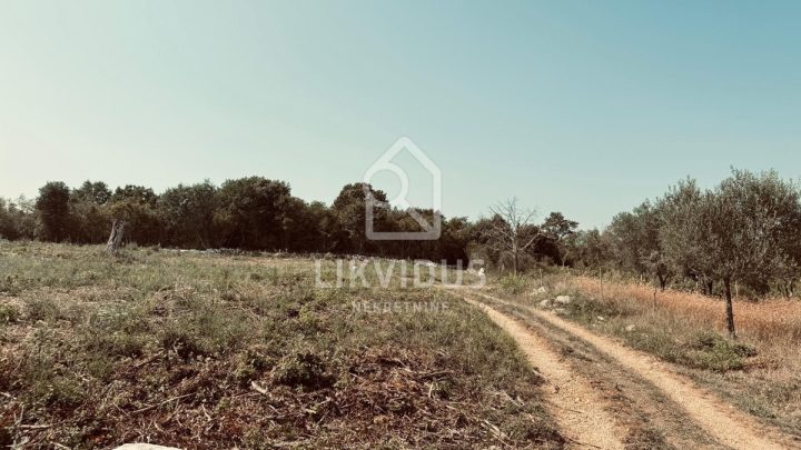 Grundstück Zu verkaufen - Istarska Rovinj - foto 4/12