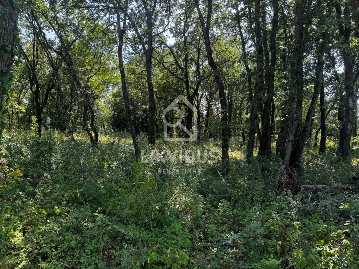 Land For sale - ISTARSKA KANFANAR