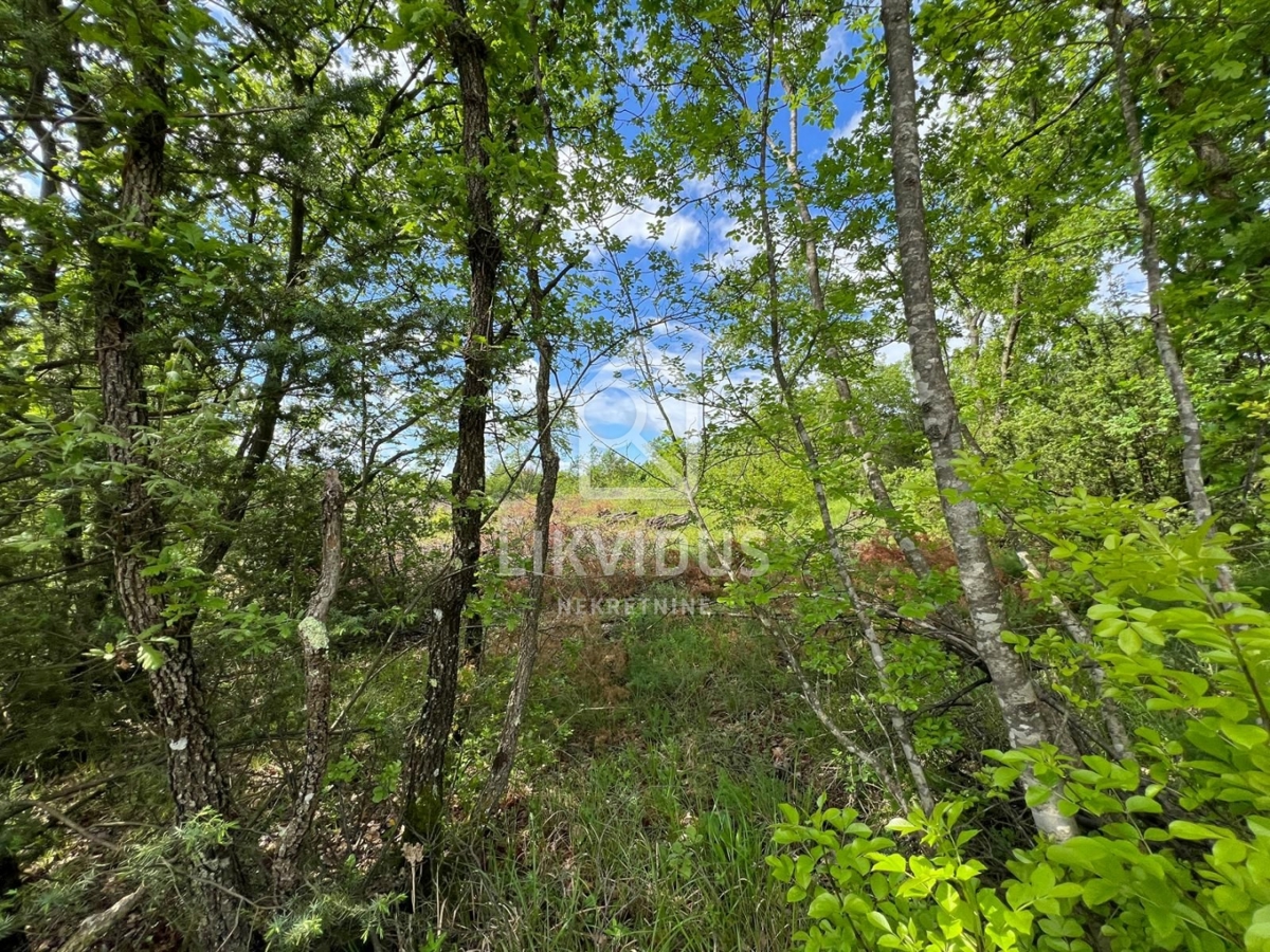 Land For sale - ISTARSKA MARČANA