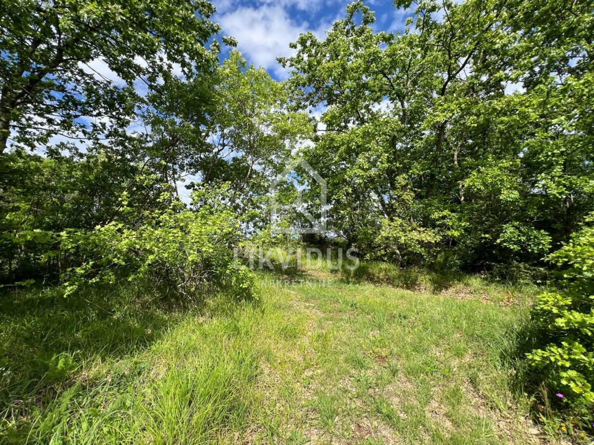 Land For sale - ISTARSKA MARČANA