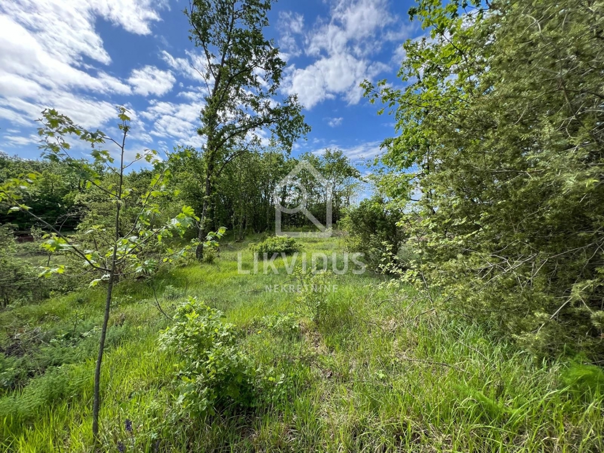 Land For sale - ISTARSKA MARČANA
