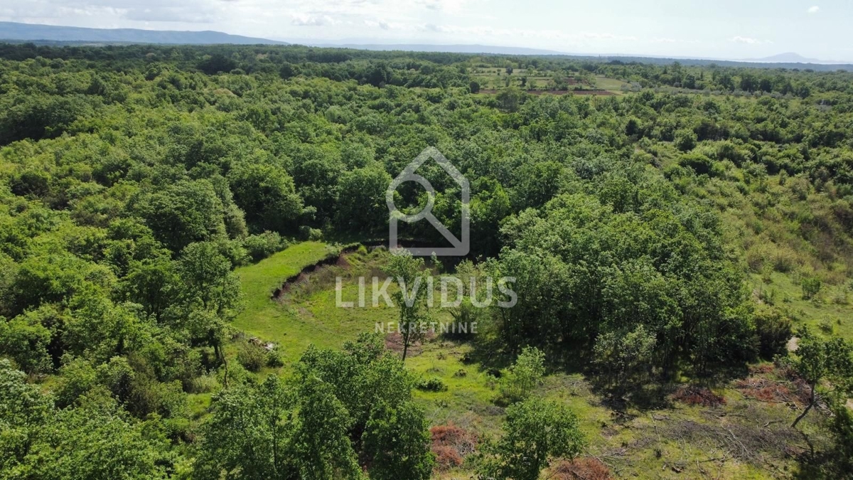 Land For sale - Istarska Marčana - foto 4/30