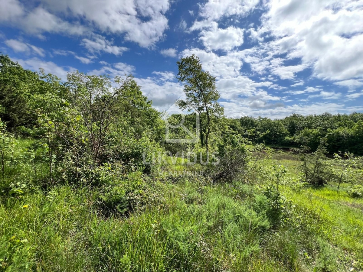 Land For sale - ISTARSKA MARČANA