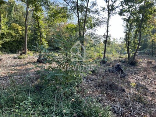 Land For sale - ISTARSKA KAROJBA