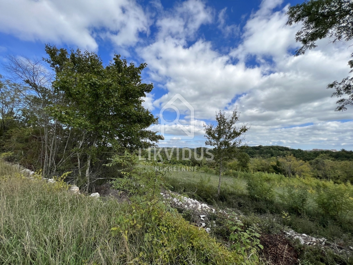 Land For sale - ISTARSKA PAZIN
