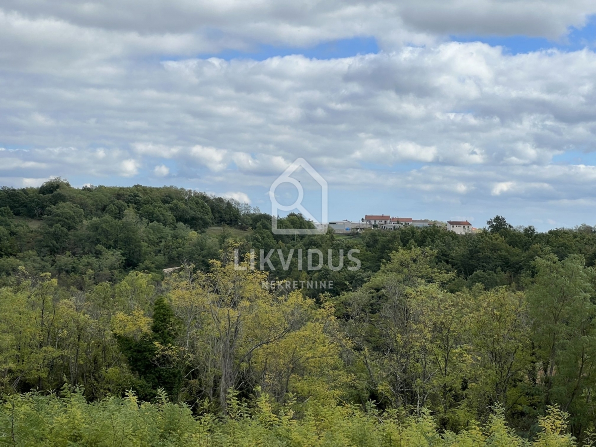 Land For sale - ISTARSKA PAZIN