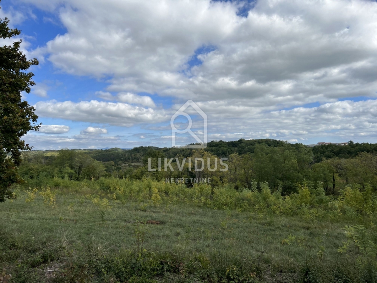 Land For sale - ISTARSKA PAZIN