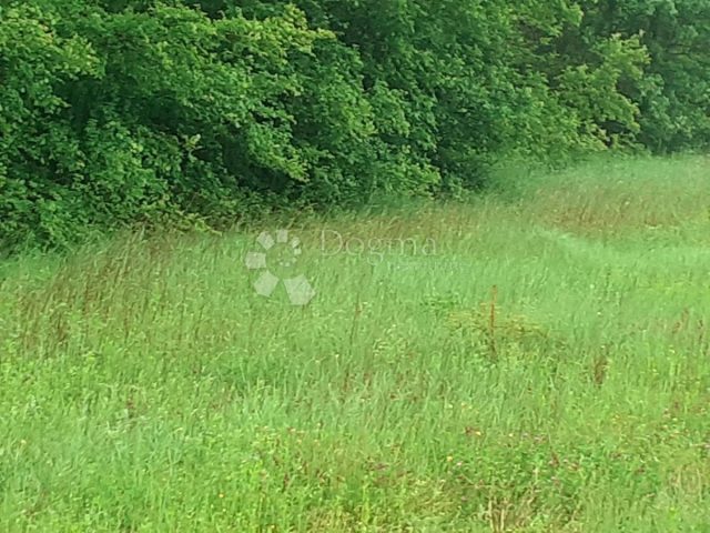 Land For sale - Istarska Svetvinčenat - foto 3/6