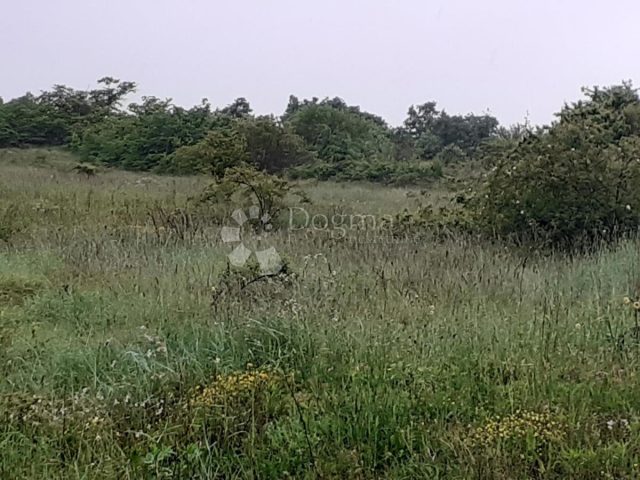 Land For sale - Istarska Svetvinčenat - foto 5/6