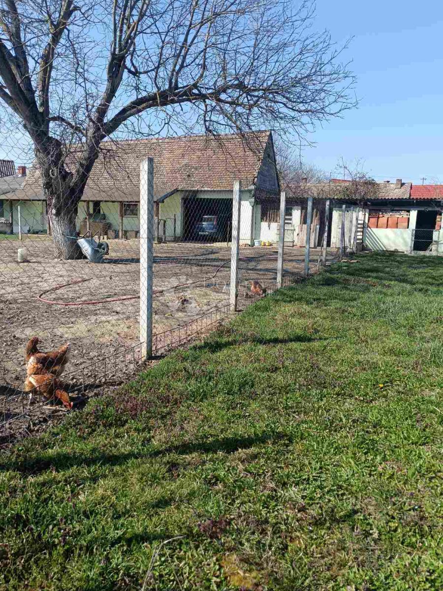 Hiša Na predaj - OSJEČKO-BARANJSKA BIZOVAC