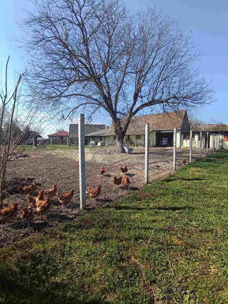 Hiša Na predaj - OSJEČKO-BARANJSKA BIZOVAC