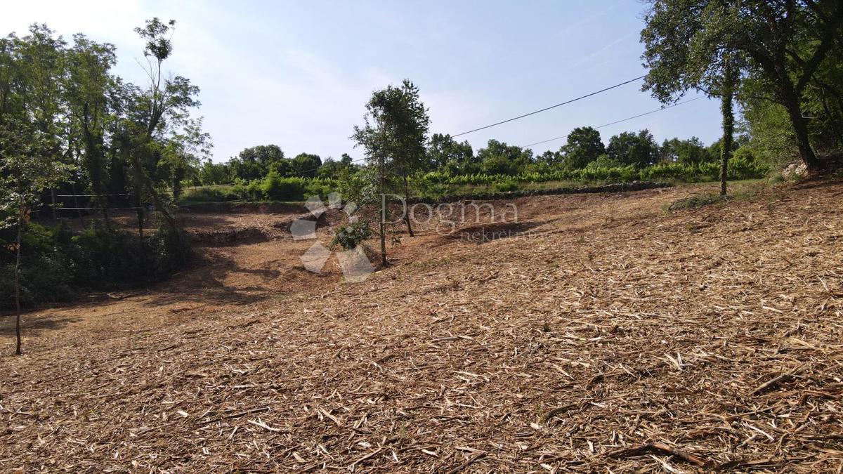 Land For sale - Istarska Sveta Nedelja - foto 4/8