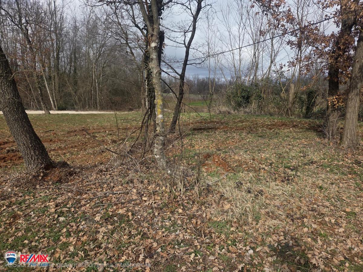 Terrain À vendre - ISTARSKA SVETA NEDELJA