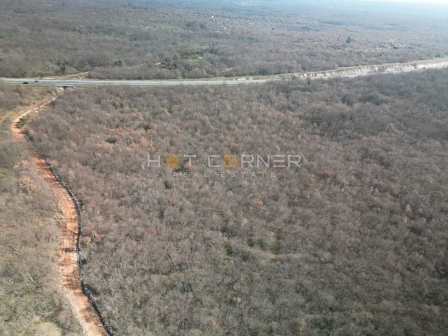 Terreno in vendita 50848 m² – Svetvinčenat