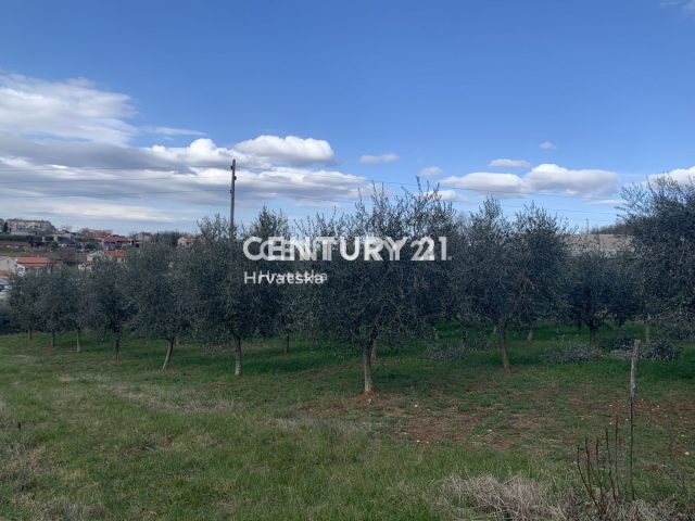 Terreno In vendita - Istarska Vižinada - foto 2/6