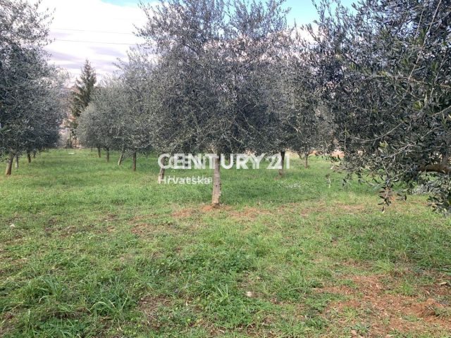 Terreno In vendita - Istarska Vižinada - foto 3/6