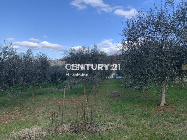 Terreno In vendita - Istarska Vižinada - foto 5/6