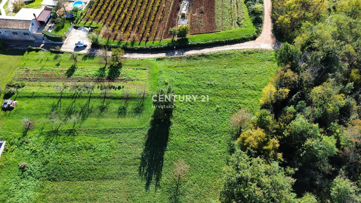 Land For sale - ISTARSKA MOTOVUN