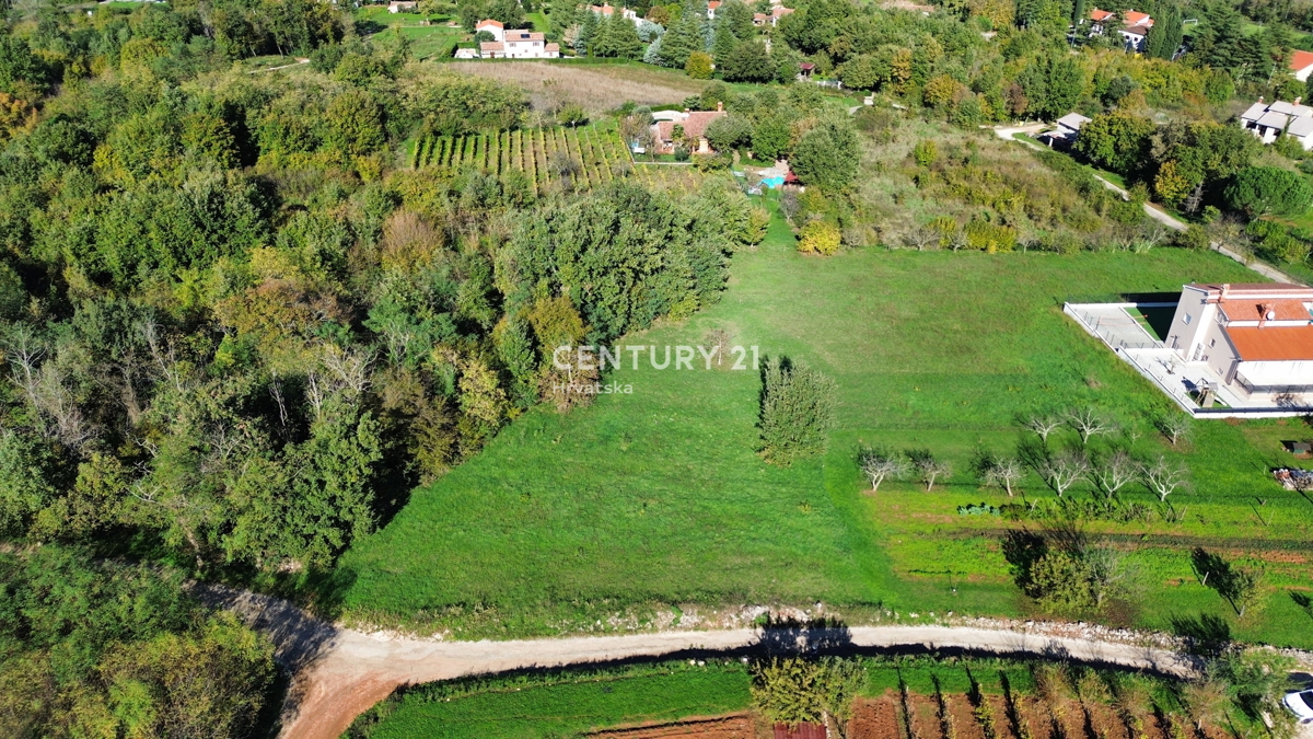 Land For sale - ISTARSKA MOTOVUN