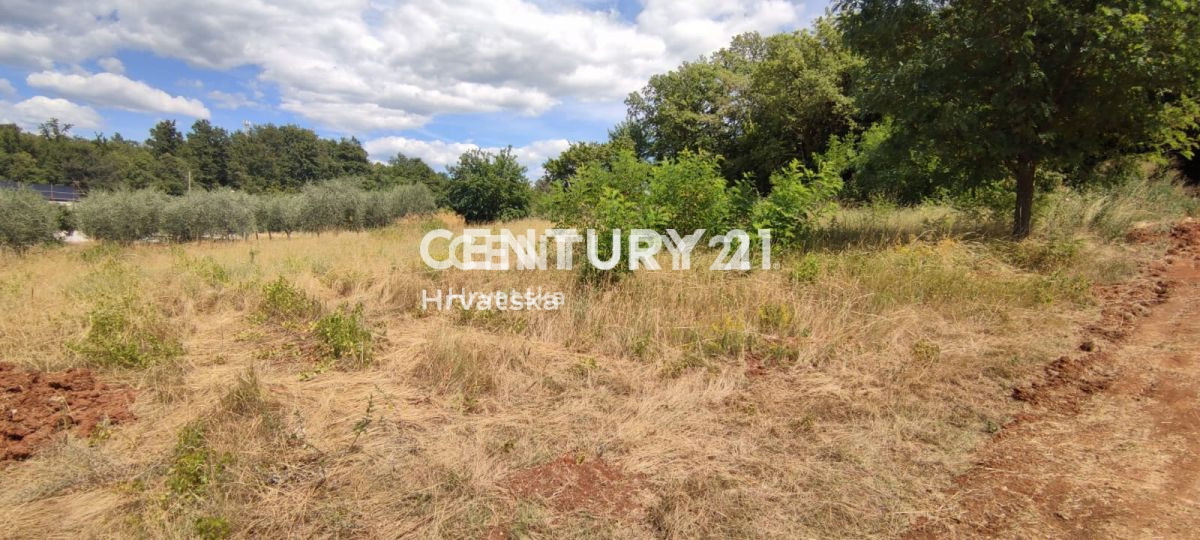 Land For sale - ISTARSKA VIŽINADA