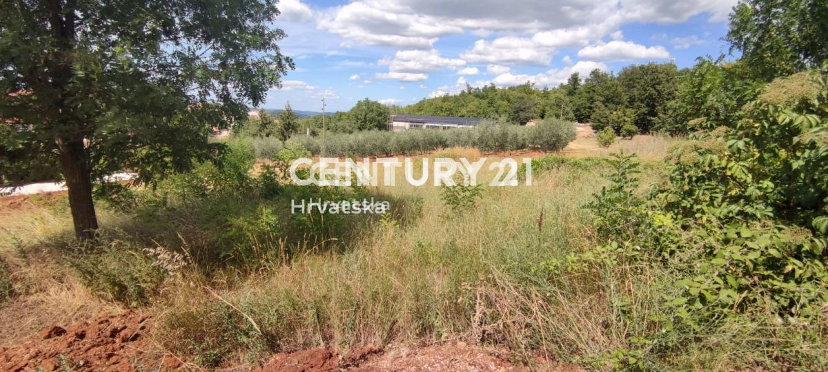 Land For sale - ISTARSKA VIŽINADA