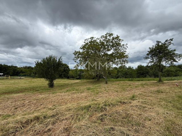 Terrain à vendre 962 m² – Vižinada