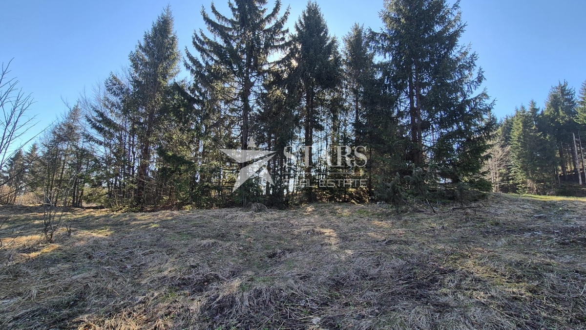 Pozemok Na predaj - Primorsko-goranska Ravna Gora - foto 1/4
