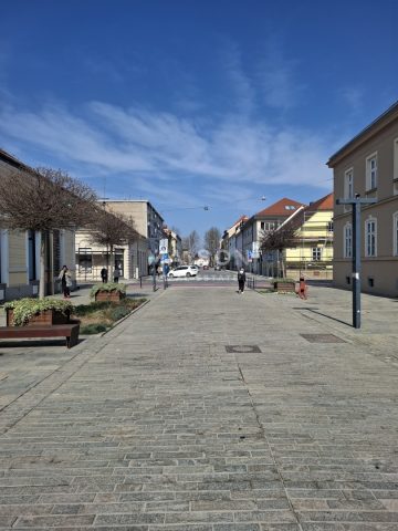 Lokal użytkowy do wynajęcia 90 m² – Sisak