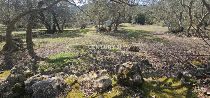Land For sale - Zadarska Ugljan - foto 3/14
