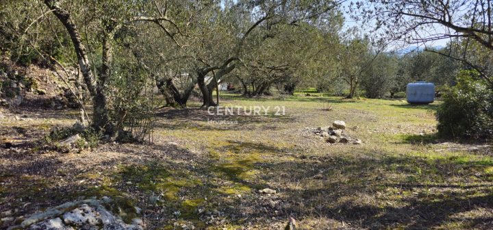 Land For sale - Zadarska Ugljan - foto 4/14