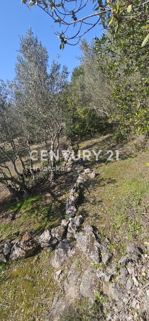 Land For sale - ZADARSKA UGLJAN