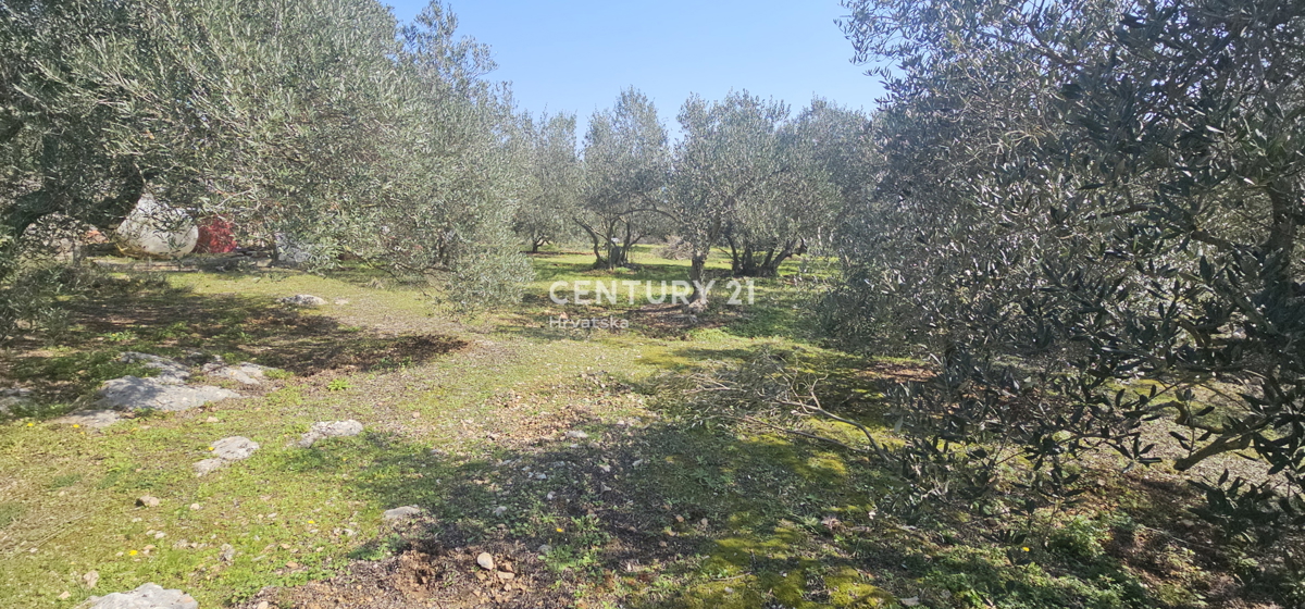Land For sale - ZADARSKA UGLJAN