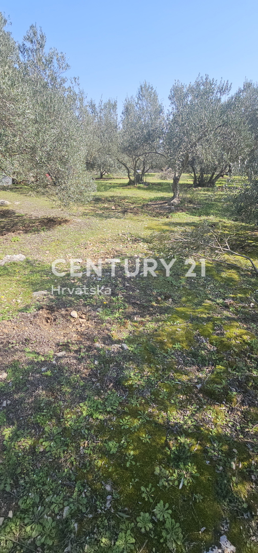 Land For sale - ZADARSKA UGLJAN