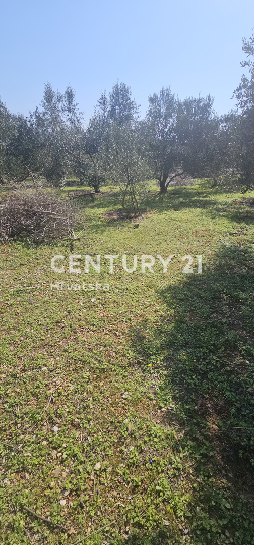 Land For sale - ZADARSKA UGLJAN
