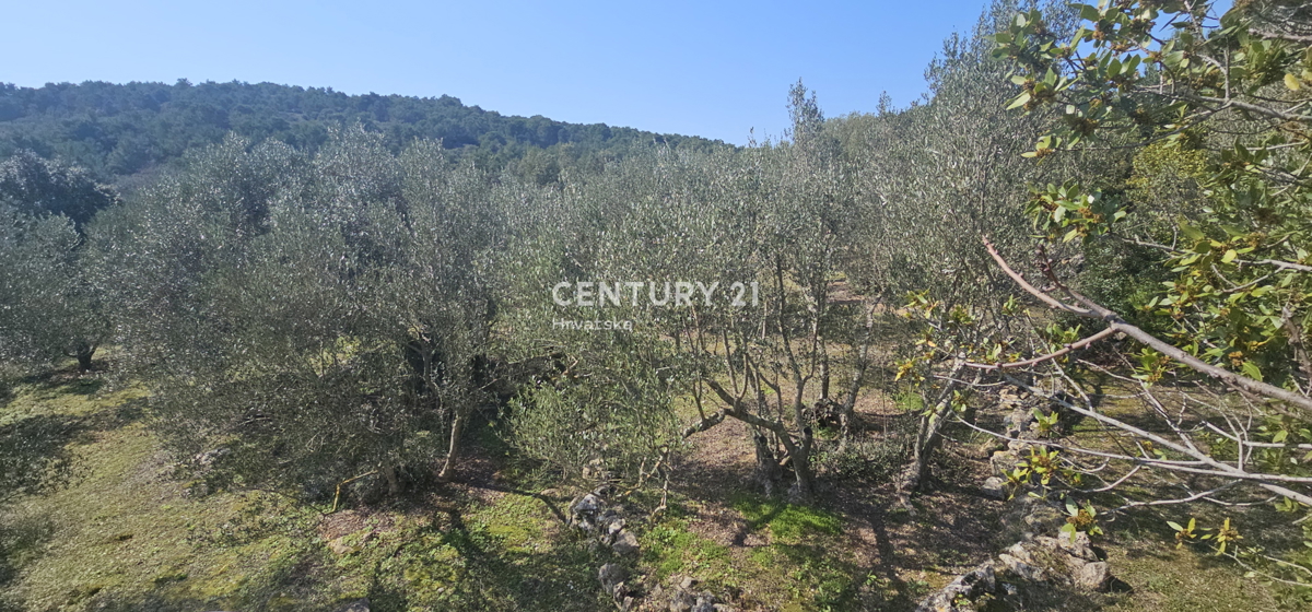 Land For sale - Zadarska Ugljan - foto 5/14