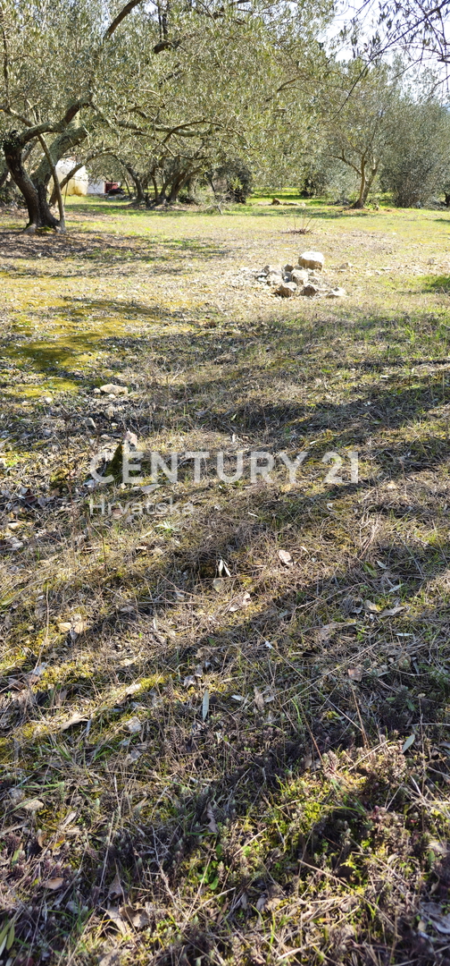 Land For sale - ZADARSKA UGLJAN