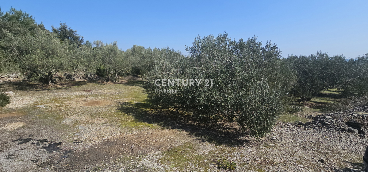 Land For sale - ZADARSKA UGLJAN